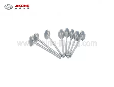 F3Впускной клапан473QA-1003047