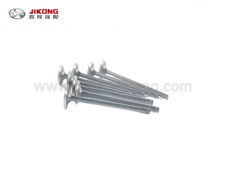 F3Выпускной клапан 473QA-1003046