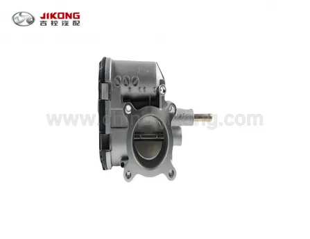 D20Дроссельный блок  ( 33 )