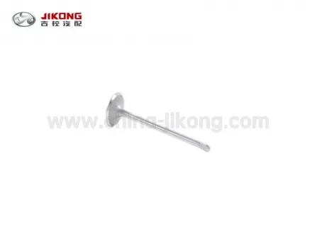 TiggoВпускной клапан481H-1007011BA