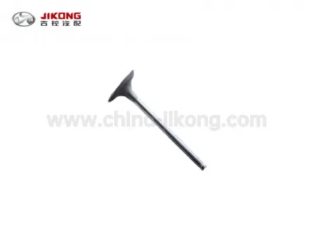 C30Впускной клапан1007016-E00