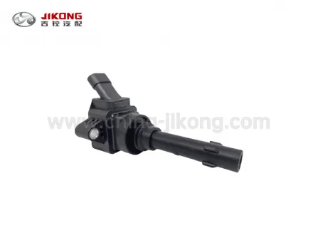 G6Катушка зажигания F01R00A065