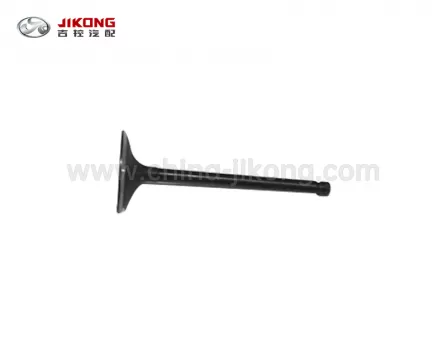 JAC J5Выпускной клапан 1003109GABJ