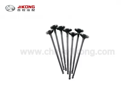 Sai MaВпускной клапан