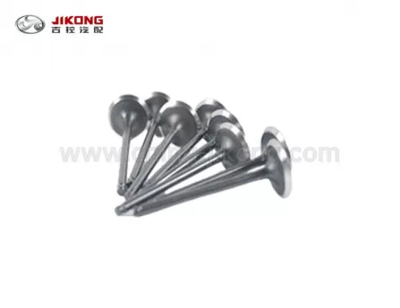 X60Впускной клапанLFB479Q-1007012A