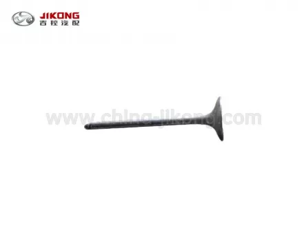 C30Выпускной клапан 1007018-E00