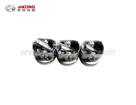 GC3/LC-1Поршень 1036050097