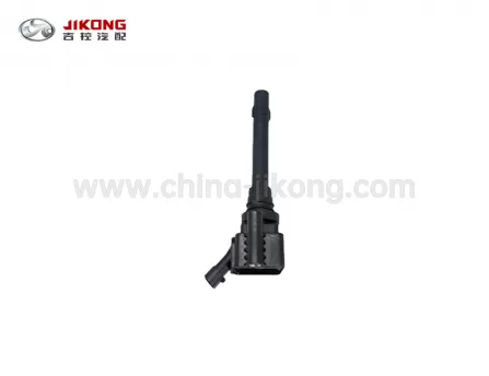 RaetonКатушка зажигания K011-1700