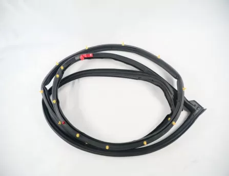 Door weather strip, front right