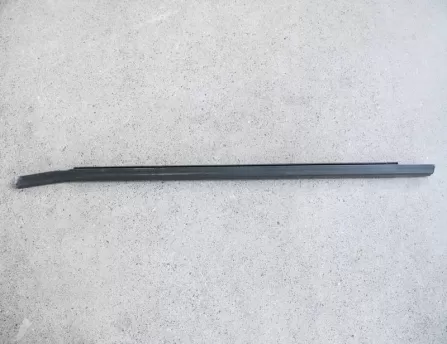 Rear Passenger Door Glass Seal Left